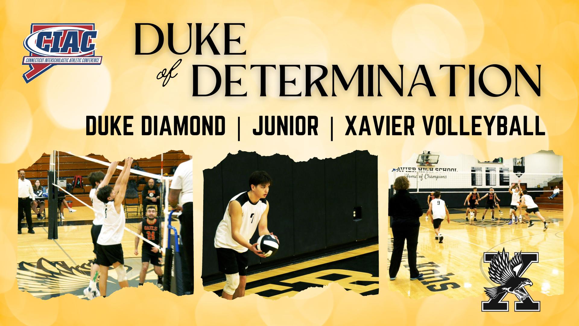 Duke of Determination - Duke Diamond