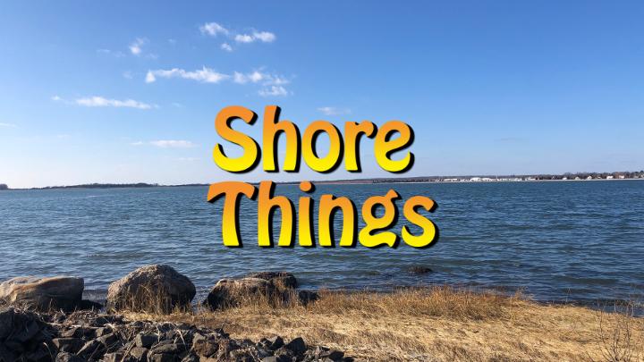 Thumbnail image for Shore Things - Ron Griffith